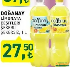 DOĞANAY LİMONATA ÇEŞİTLERİ 1 L fiyat ve kampanya bilgisi